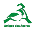 Amigos Azores